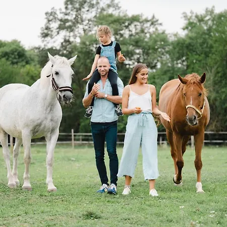 Apartament Cherry Apartmanhaz Sárvár