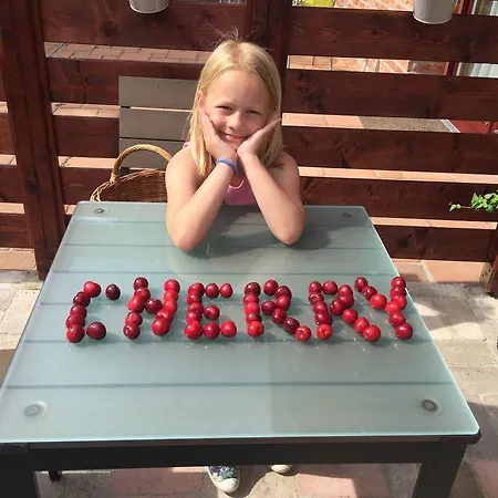 Cherry Apartmanhaz 아파트 Sárvár